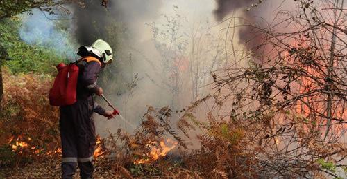 Лесной пожар. Фото © Пресс-служба ЮРПСО МЧС России