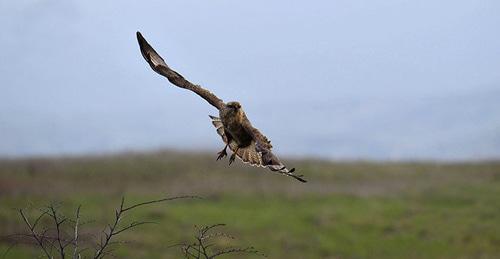 На линии соприкосновения в Нагорном Карабахе. Фото © Sputnik/ Asatur Yesayants
