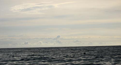 Чёрное море. Фото Нины Тумановой для "Кавказского узла" Чёрное море. Фото Нины Тумановой для "Кавказского узла"