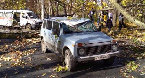 Последствия сильного ветра во Владикавказе. Фото https://vk.com/public72749677?z=photo-72749677_456258969%2Fwall-72749677_507851 Последствия сильного ветра во Владикавказе. Фото https://vk.com/public72749677?z=photo-72749677_456258969%2Fwall-72749677_507851