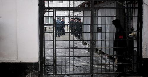 Колония. Фото: Геннадий Аносов / Югополис