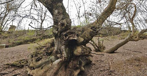 На линии соприкосновения в Нагорном Карабахе. Фото © Sputnik/ Asatur Yesayants
