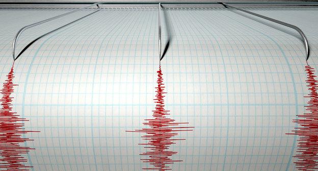 Показания сейсмографа. Фото http://www.sweetwaternow.com/4-8-earthquake-reported-teton-county/