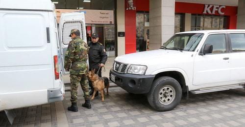 Кинологи с собаками на бакинском железнодорожном вокзале. 21 декабря 2017 года. Фото Азиза Каримова для "Кавказского узла" Кинологи с собаками на бакинском железнодорожном вокзале. 21 декабря 2017 года. Фото Азиза Каримова для "Кавказского узла"