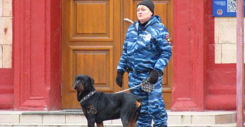Сотрудница кинологической службы полиции с собакой в Волгограде. Фото Вячеслава Ященко для "Кавказского узла" Сотрудница кинологической службы полиции с собакой в Волгограде. Фото Вячеслава Ященко для "Кавказского узла"