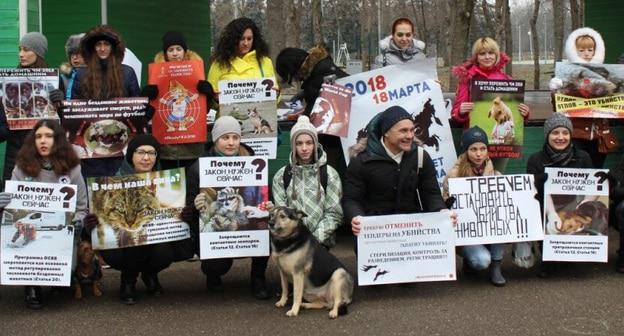 Пикет зоозащитников в Краснодаре. 24 февраля 2018 года. Фото Инессы Гончар для "Кавказского узла"