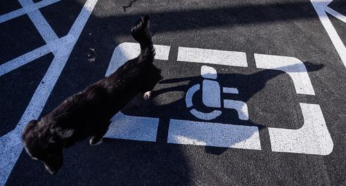 Знак на дороге.  © Фото Елены Синеок, Юга.ру
