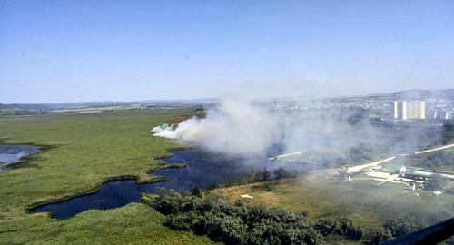 Распространение огня в зарослях камыша в Анапе. Фото http://23.mchs.gov.ru/upload/site32/document_operational/B5tHasL0uz.jpeg Распространение огня в зарослях камыша в Анапе. Фото http://23.mchs.gov.ru/upload/site32/document_operational/B5tHasL0uz.jpeg
