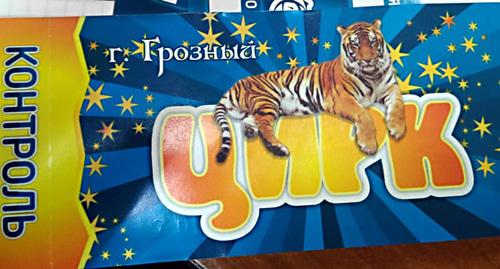 Билет в цирк в Грозном. Фото: корреспондент "Кавказского узла", Билет в цирк в Грозном. Фото: корреспондент "Кавказского узла",
