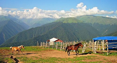 Село Камиловка, Закатала Фото Aliakbar2015 https://commons.wikimedia.org/wiki/Category:Zaqatala_Rayon#/media/File:Şamilovka,_Zaqatala.jpg
Село Камиловка, Закатала Фото Aliakbar2015 https://commons.wikimedia.org/wiki/Category:Zaqatala_Rayon#/media/File:Şamilovka,_Zaqatala.jpg