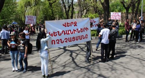 Участники акции протеста против директора зоопарка в Ереване. Фото:  Армине Мартиросян для "Кавказского узла".