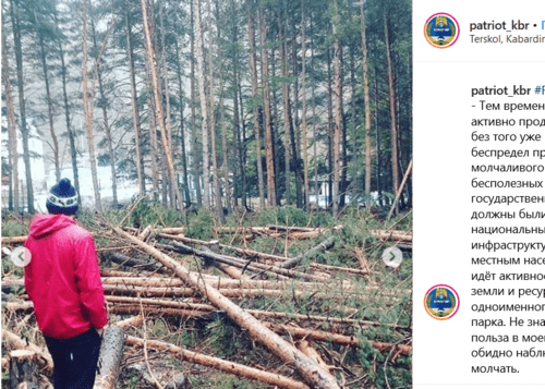 Фото с места вырубки в поселке Терскол. Скриншот публикации в паблике "Патриот КБР"
https://www.instagram.com/p/BxCrUDxnk7x/