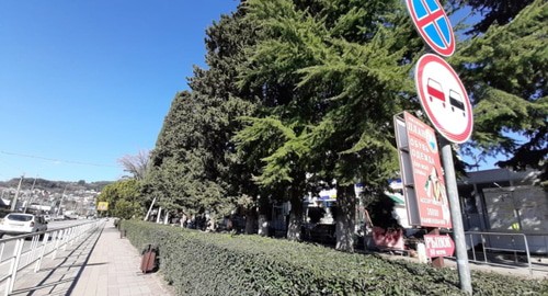 Место строительства перехода в Сочи. Фото Светланы Кравченко для "Кавказского узла".