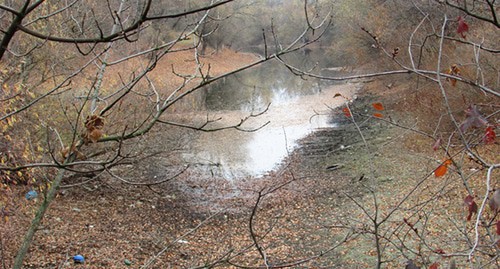 Волго-Ахтубинская пойма. Фото Вячеслава Ященко для "Кавказского узла" Волго-Ахтубинская пойма. Фото Вячеслава Ященко для "Кавказского узла"