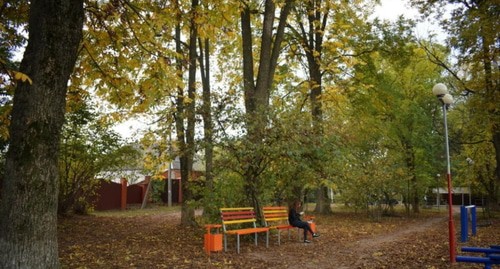 Пекановая роща. Фото: пресс-служба "Экологоческой вахтьы по Северному Кавказу" Пекановая роща. Фото: пресс-служба "Экологоческой вахтьы по Северному Кавказу"