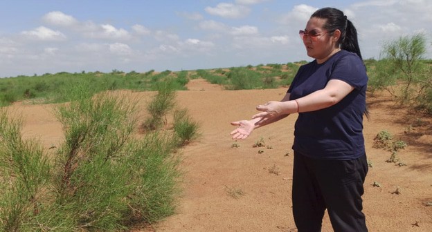 Предприниматель Баира Цыгаменко на одном из участков пустыни, где в 2019 году был посажен джузгун. Поселок Бергин Юстинского района Калмыкии, 6 июля. Фото Баиры Цыгаменко для "Кавказского узла".