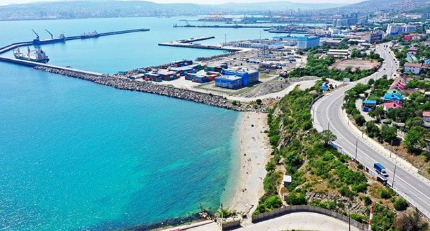 Волочаевский пляж в Новороссийске. 2020 г.  Фото «Экологической вахты по Северному Кавказу», ewnc.org