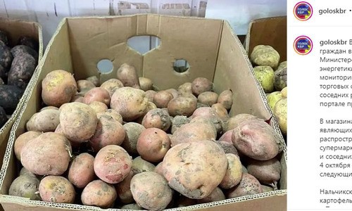 Картофель на прилавке. Скриншот публикации на странице https://www.instagram.com/p/CUyDILztiap/