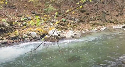 Берег реки Фортанга. Фото: стоп-кадр видео Masaev. 777 https://www.youtube.com/watch?v=XtqeOzYUhDY