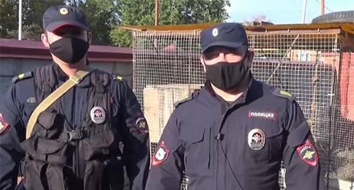 Кавказский обзорщик машин Кавказский обзорщик машин
