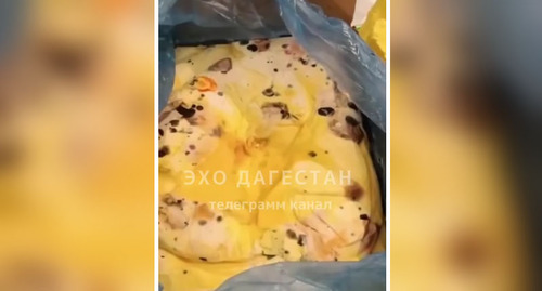 Испорченное сливочное масло, найденное в пищеблоке одной из школ Махачкалы. Стоп-кадр из видео на странице https://www.instagram.com/p/Cl4D9eyO3Ie/
