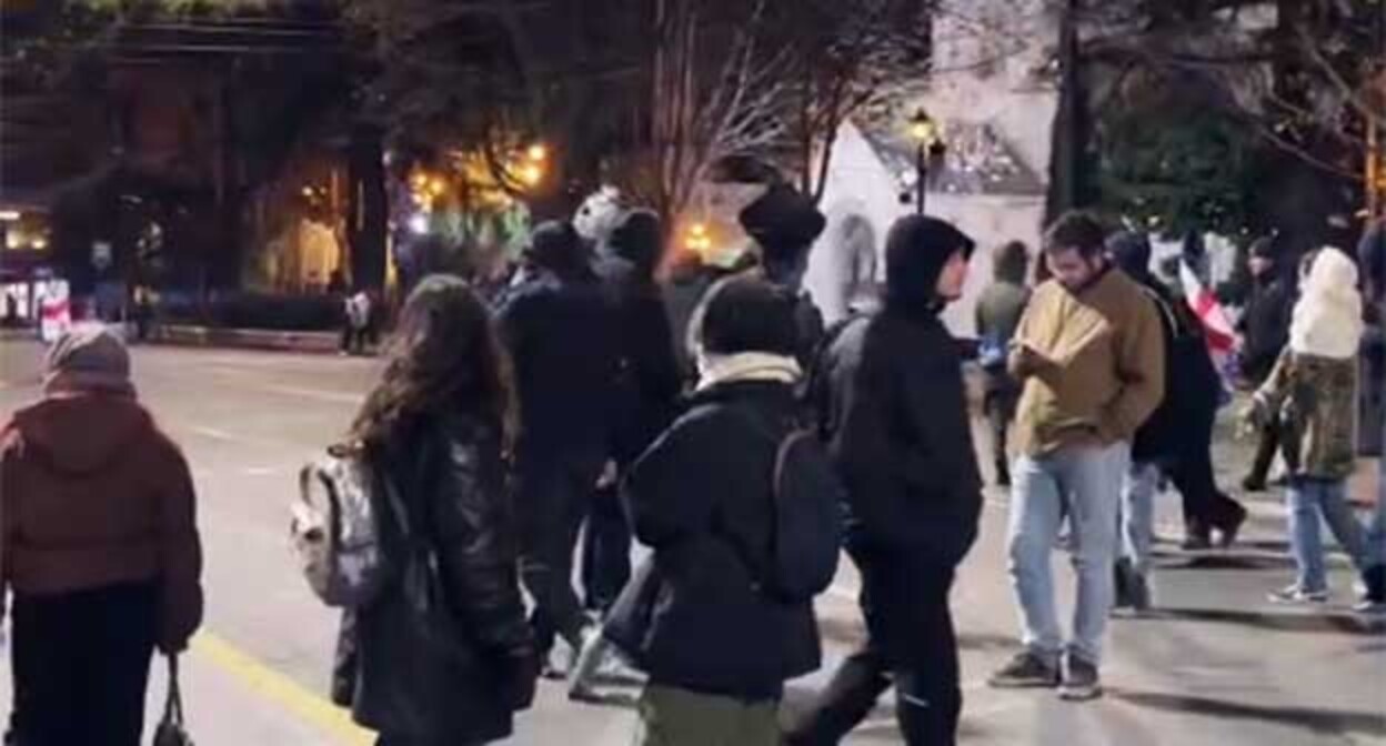 Участники акции протеста в Тбилиси. 12 декабря 2024 г. Скриншот видео https://t.me/Tbilisi_life/33885