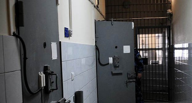 Колония. Фото: Елена Синеок. "Юга.ру" Колония. Фото: Елена Синеок. "Юга.ру"