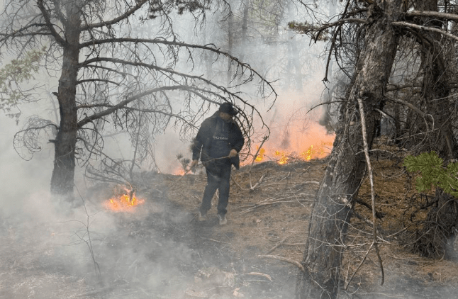 Пожар в Хунзахском заповеднике. Скриншот фото из Telegram-канала Нурмагомеда Задиева от 19.03.25, https://t.me/Zadiev_Nurmagomed/3850