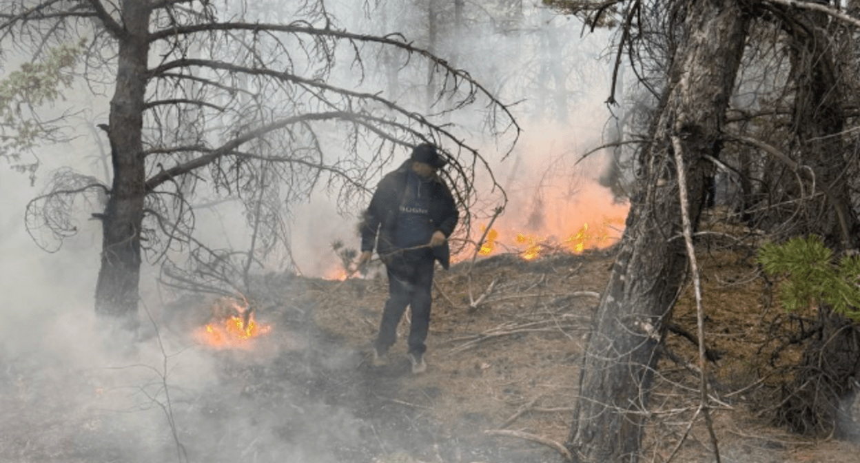 Пожар в Хунзахском заповеднике. Скриншот фото из Telegram-канала Нурмагомеда Задиева от 19.03.25, https://t.me/Zadiev_Nurmagomed/3850