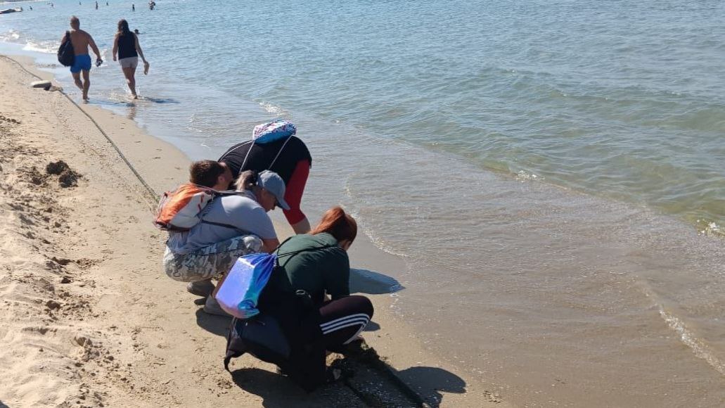 Пляж Анапы. 12 августа 2025 г. Фото: https://t.me/opershtab23/13963