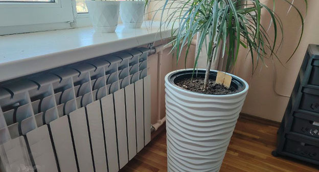 Батарея в квартире. Фото Любови Караевой, Юга.ру