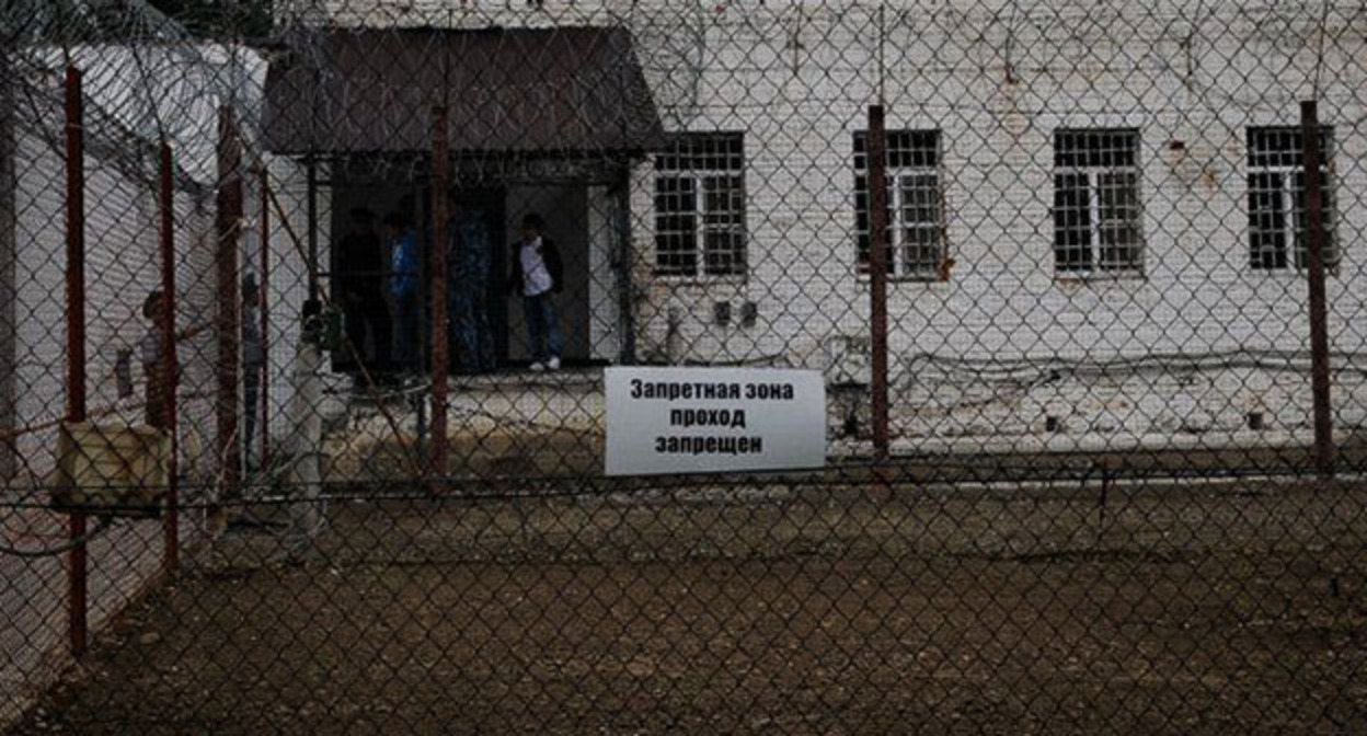 Колония. Фото: Елена Синеок / Юга.ру