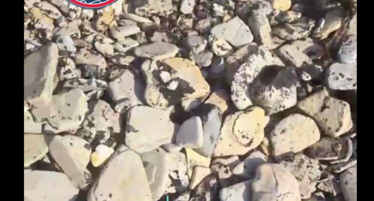 Мазутные "плюшки". Стоп-кадр видео штаба "Дельфины" от 16.11.25, https://t.me/shtab_delfin/1479.