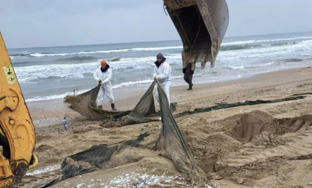 Уборка сетей на побережье Кубани. Скриншот фото оперштаба Краснодарского края от 17.01.26, https://t.me/opershtab23/14856.