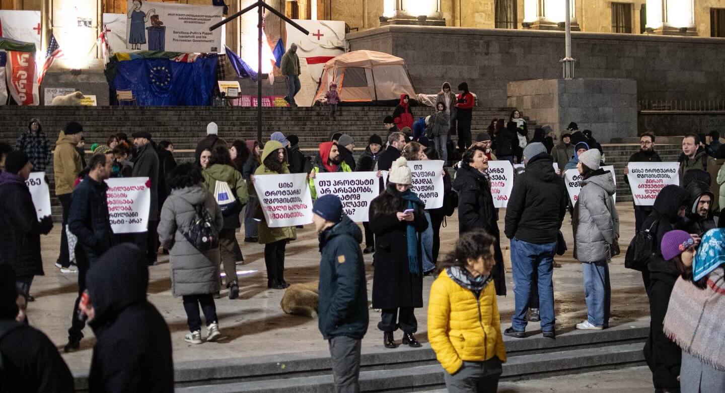 Активисты с плакатами перед парламентом, 10 февраля 2026 года. Фото: Mindia Gabadze / Publika. 