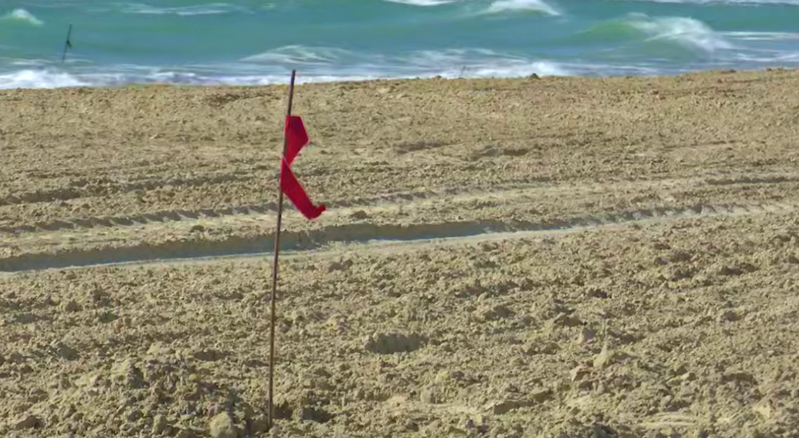 Новый песок на пляже "Мираклеон". Стоп-кадр видео оперштаба Краснодарского края от 11.03.25, https://t.me/opershtab23/15355 Новый песок на пляже "Мираклеон". Стоп-кадр видео оперштаба Краснодарского края от 11.03.25, https://t.me/opershtab23/15355