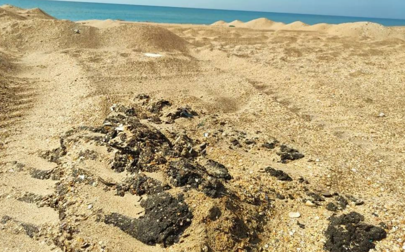 Выбросы мазута на Бугазской косе. Скриншот фото из Телеграм-канала "Добровольцы ССЛ" от 18.03.26, https://t.me/setisitolopata/2726?single