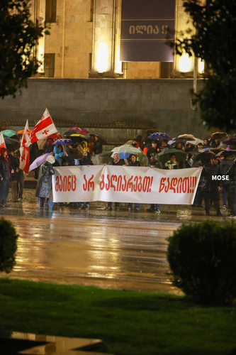 Кадр проевропейские протесты в Тбилиси 483 день подряд. Фото: MO SE / Facebook