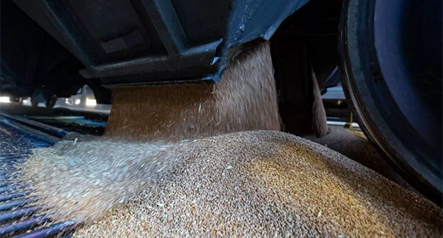 Зерно. Фото: Минтранс России
