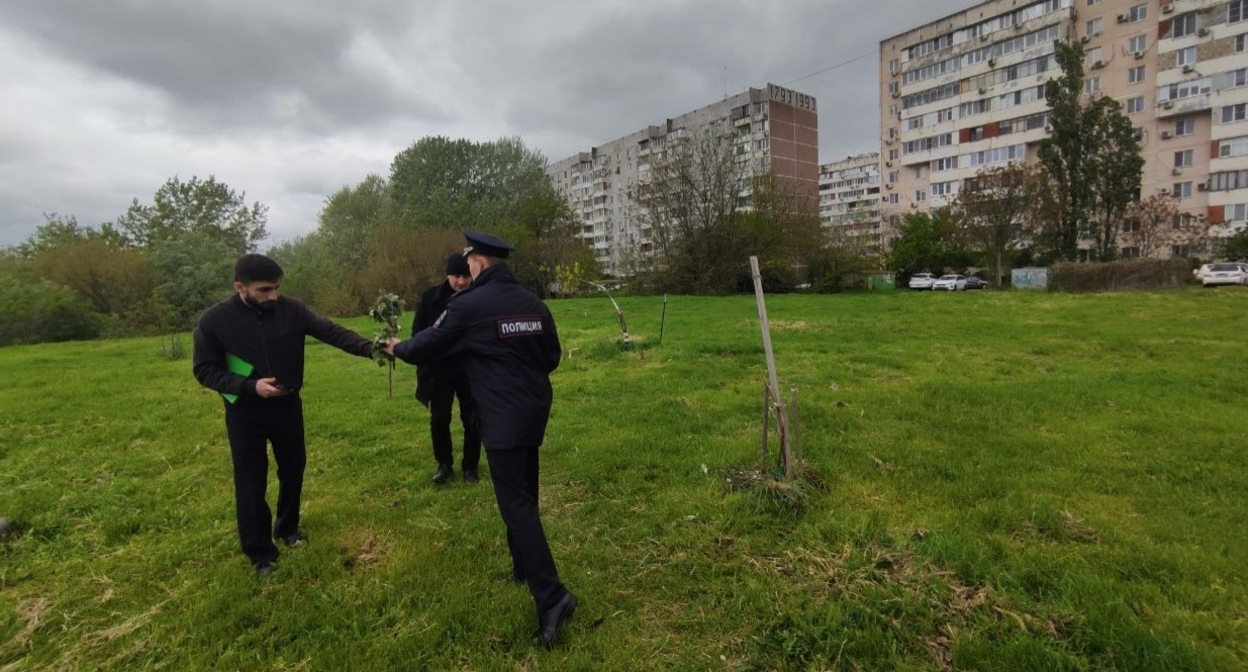 Полицейские принимают заявление об уничтожении зелёных насаждений в Юбилейном микрорайоне. Краснодар, 2 мая 2026 года. Фото из телеграм-канала "Краснодар ЮМР" https://t.me/KrasnodarUMR/25034