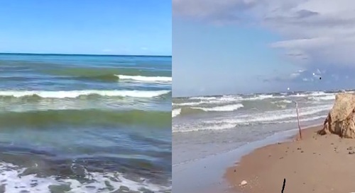 Прибрежная вода в Витязево и на Золотом берегу. Скриншоты видео https://t.me/MoreOz/125614, https://t.me/MoreOz/125729