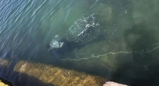 Водолазы осматривают дно моря возле поселка Дедеркой. Фото: "Кубань-СПАС"