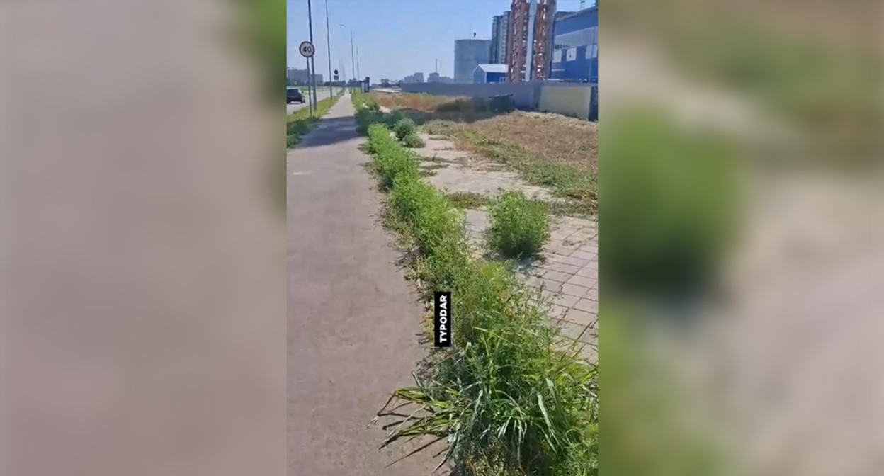 Тротуар в Новознаменском. Кадр из видео https://t.me/typodar/62764