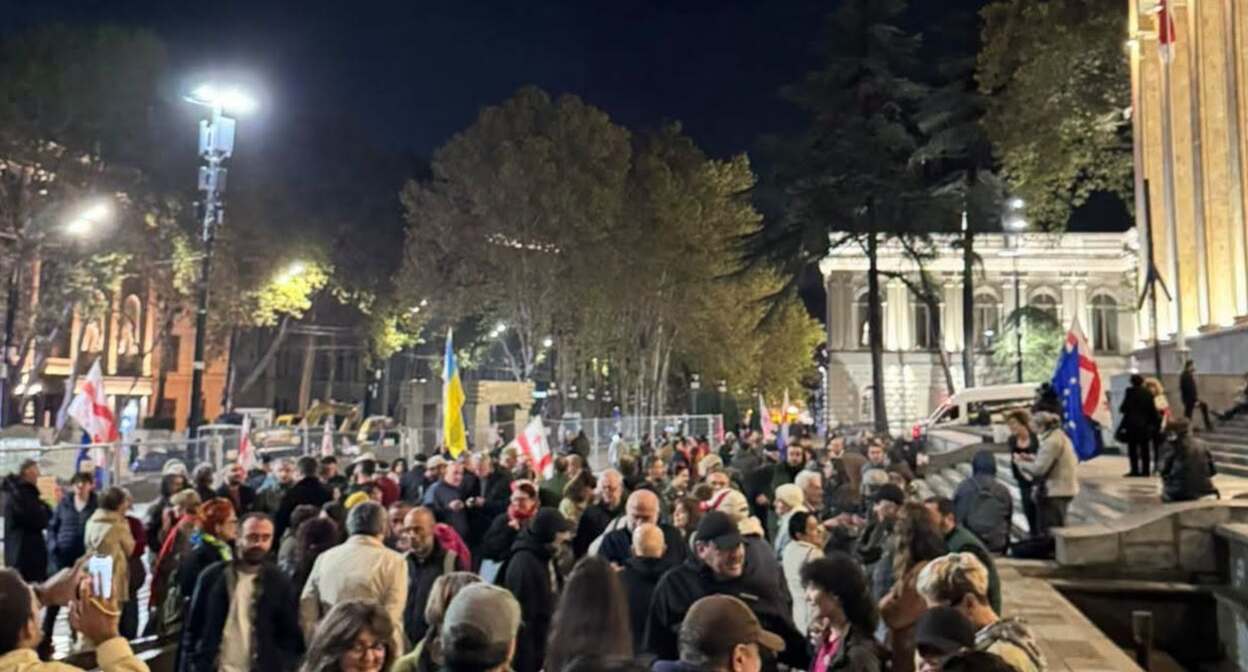 Участники акции протеста перед парламентом Грузии. Фото: Фото: Giorgi Mumladze / Facebook*