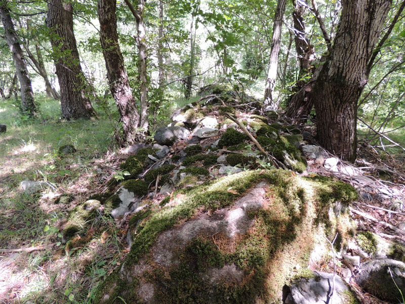 Церковь Пресвятой Богородицы. Разрушенная монастырская стена. Церковь Пресвятой Богородицы. Разрушенная монастырская стена.
