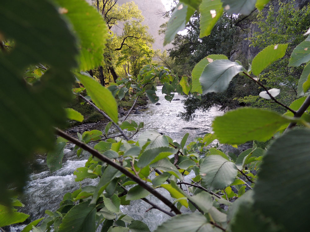 Вид на реку сквозь ветки деревьев. Вид на реку сквозь ветки деревьев.