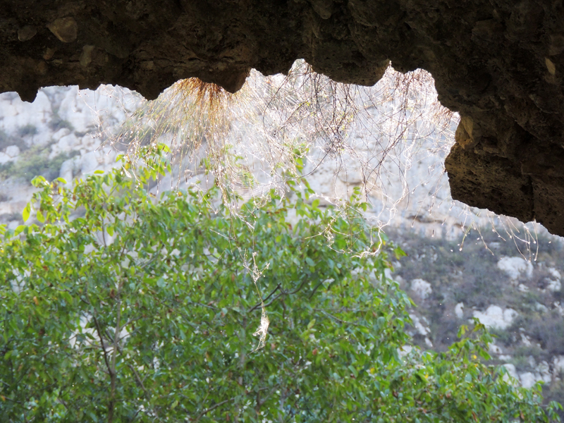 Мост в ущелье Унот. 1720г. Паутина под постом Мост в ущелье Унот. 1720г. Паутина под постом