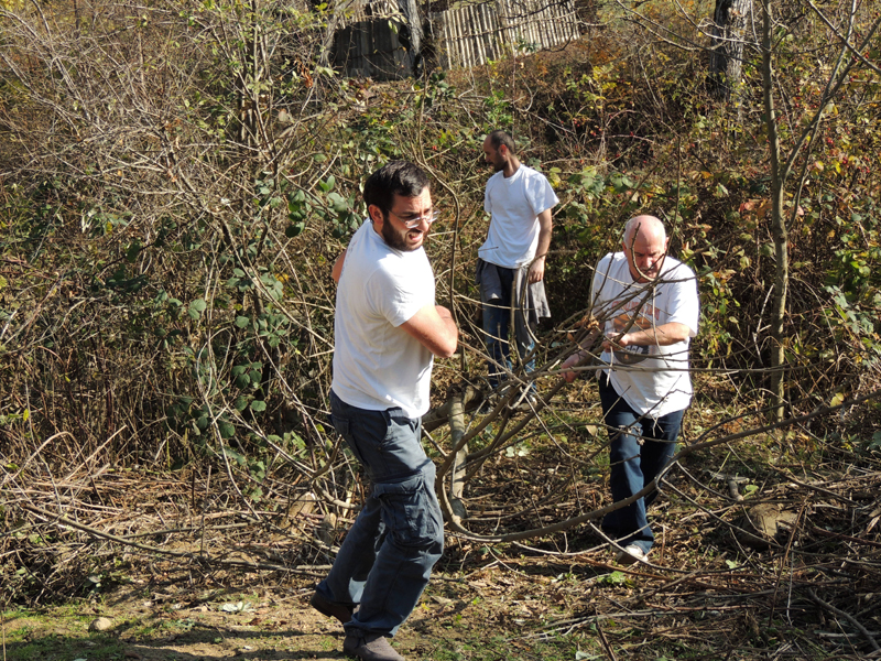 С Арманом вытягиваем дерево... С Арманом вытягиваем дерево...