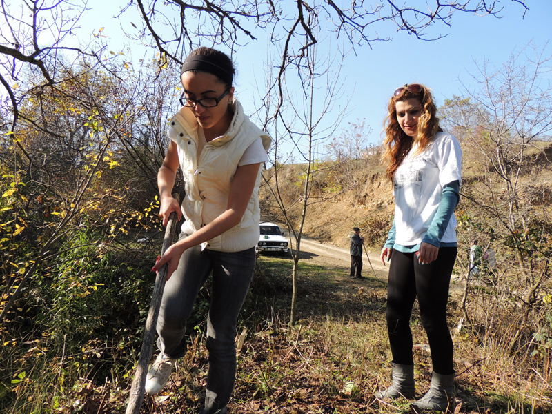 Девушки работают. Девушки работают.