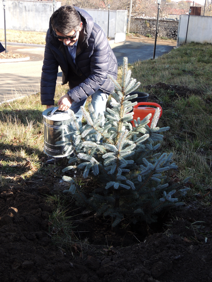 Ёлка и кольцо засыпаны, можно и полить водичку... Ёлка и кольцо засыпаны, можно и полить водичку...